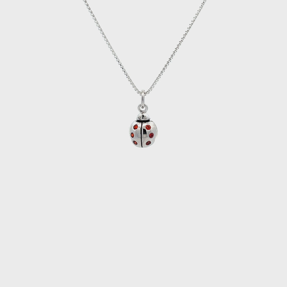 
                
                    Load and play video in Gallery viewer, Sterling Silver Kid&amp;#39;s Ladybug Necklace
                
            